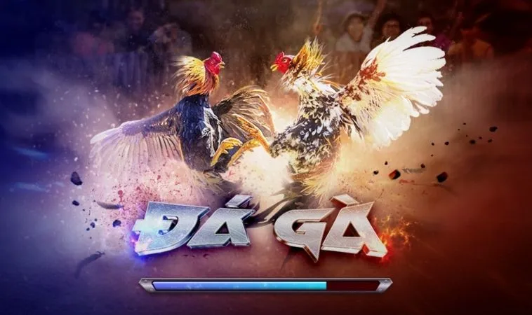 Đá Gà 3D Tại F168