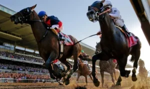 Bí Quyết Chiến Thắng Cá Cược Đua Ngựa F168 Siêu Hấp Dẫn 10 đua ngựa F168